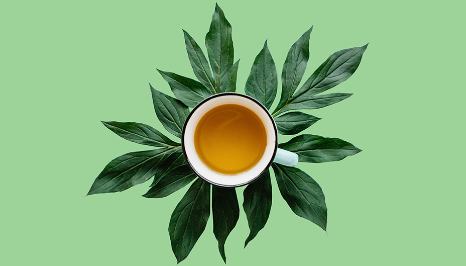 Bird's eye view of a cup of tea surrounded by green leaves.