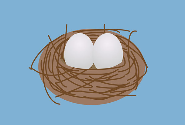 Illustration of 2 eggs in a nest. 