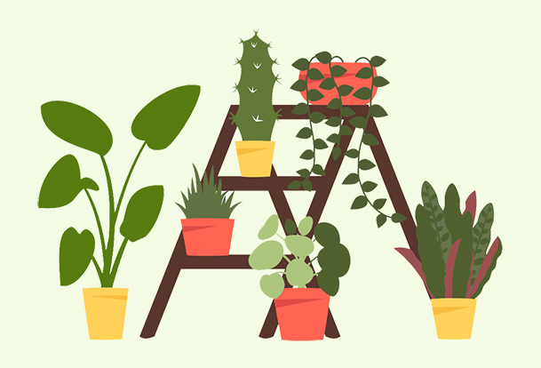 Illustration of various potted plants arranged on a ladder. 