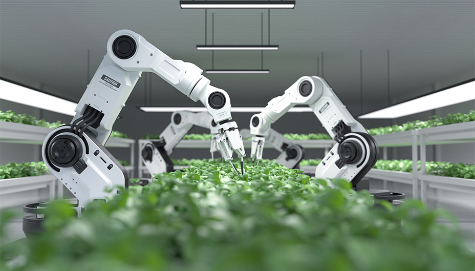 Des bras robotisés s'occupent de plantes dans le secteur émergeant du cannabis.