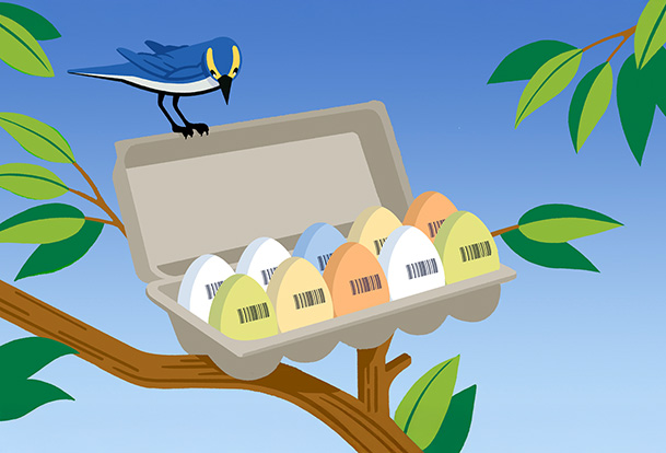 Illustration of a carton of multi-coloured eggs resting on a tree branch