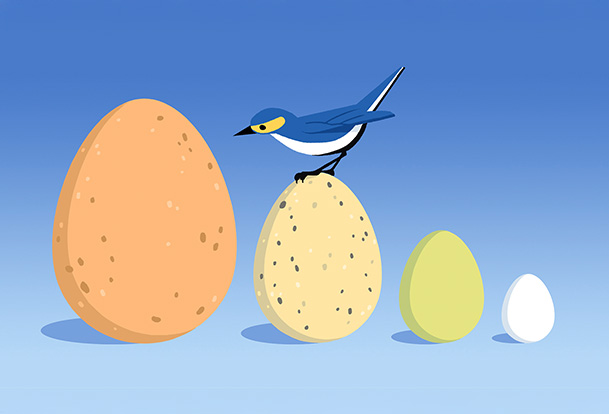 Four eggs of different colours and sizes, with a blue bird sitting on the second egg from the left