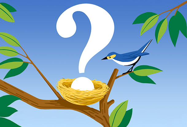 Un nid d’oiseau sur une branche, dans lequel se trouve un point d’interrogation, et un oiseau à côté