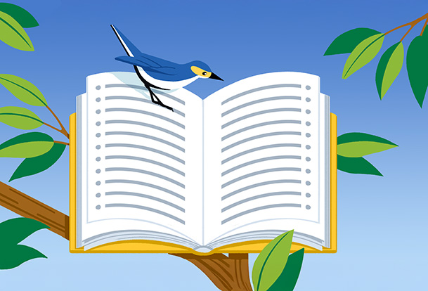 Illustration d’un oiseau perché sur un livre ouvert posé sur une branche d’arbre