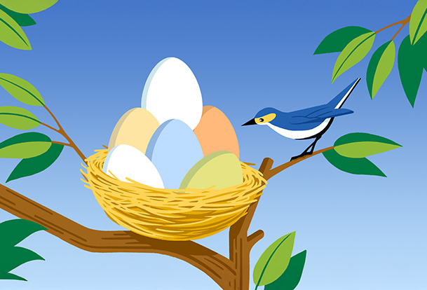 Illustration d’un oiseau sur une branche d’arbre à côté d’un nid contenant des œufs multicolores