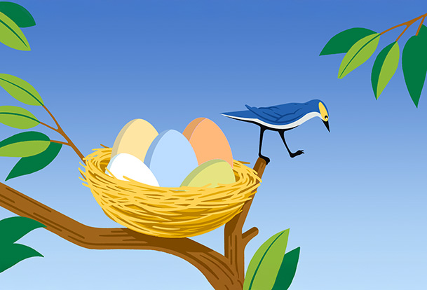 Illustration of a nest of eggs resting on a branch, with a bird standing on the edge of the branch