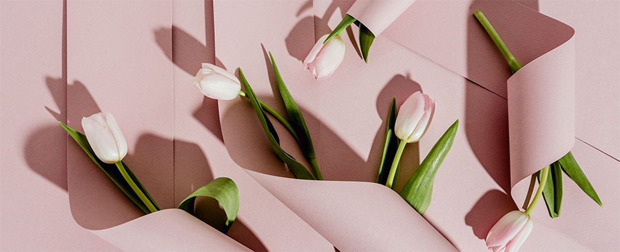 Tulips laid out on a table. 