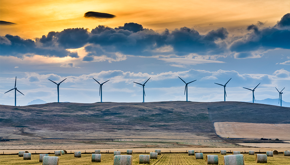 A field of wind turbines is shown at sunset.