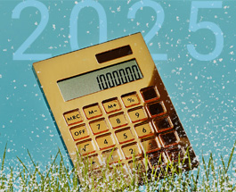 Gold calculator surrounded by snowflakes, with 2025 in the background