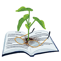 Open book with a plant growing out of it.