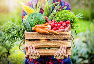 Hitting Net-Zero Means Rethinking How Canada Grows (and Buys and Eats) Food